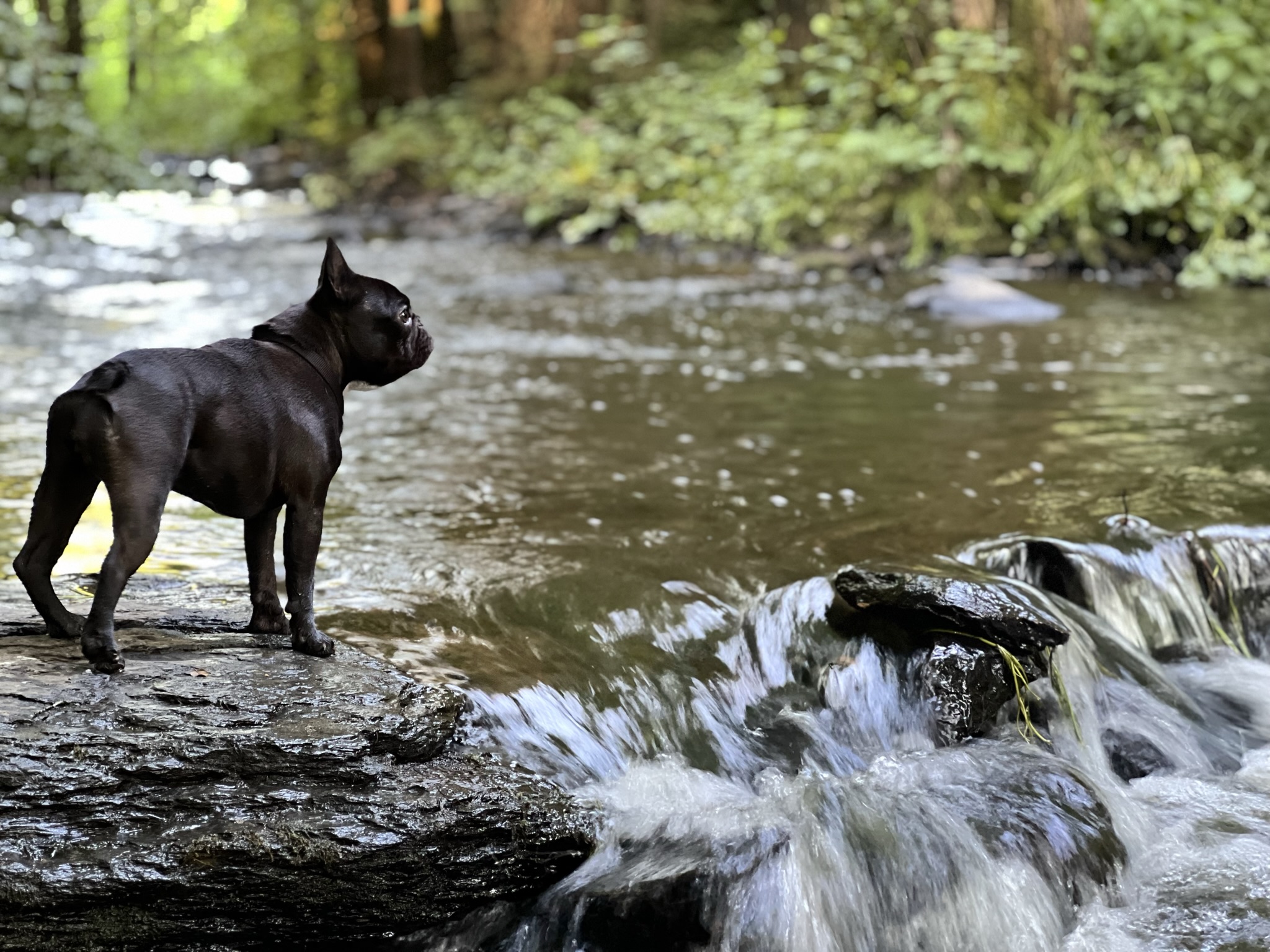 Charme à Graide - foto 2